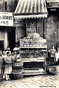 ALGER - COQUILLAGES MAISON CAPOMACCIO